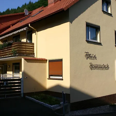 Apartment Haus-kummeleck-wohnung-3 Bad Lauterberg